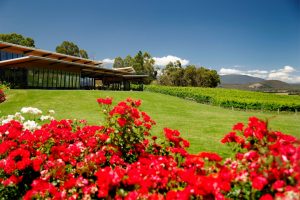 Balgownie Estate red flowers prestige retreats view rolling hills vineyard