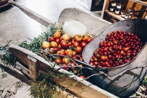 Clyde Park Vineyard and bistro Geelong winery Bannockburn
