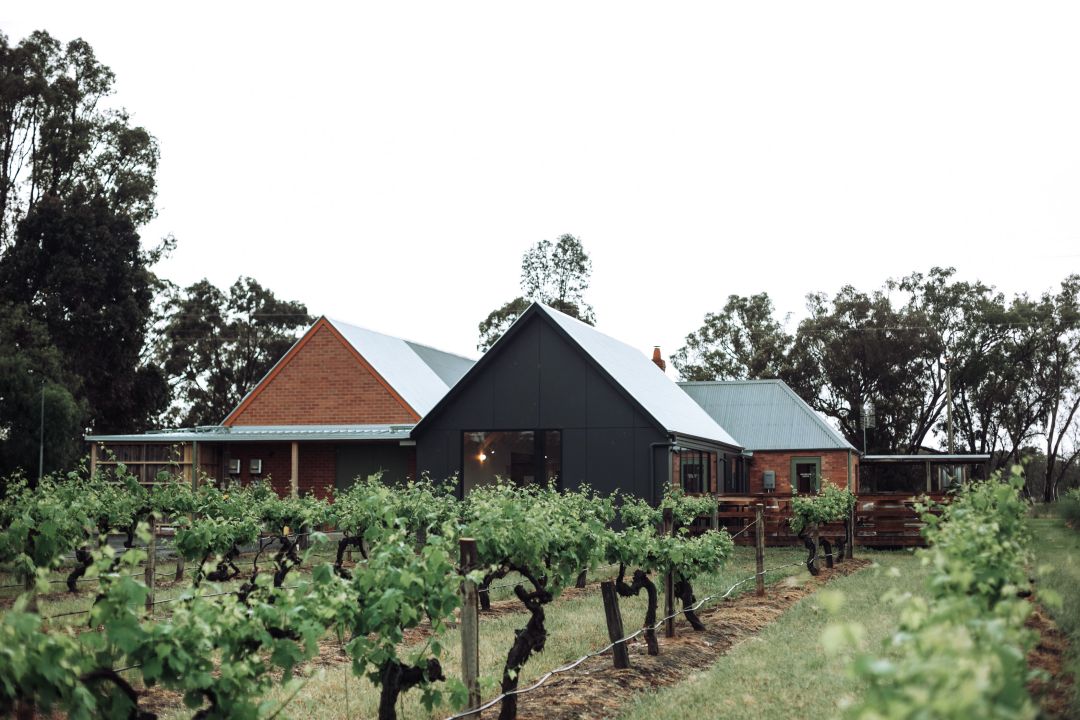 Grampians-Estate_CellarDoor Grampians Estate WOV11