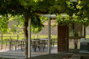 Longleat Estate Murchison wine Goulburn valley winery Melbourne Victoria wine tasting cellar door