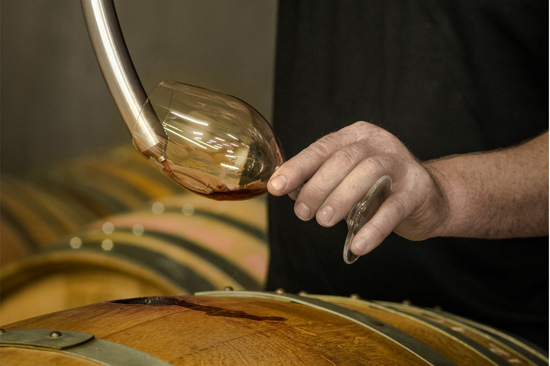 Pimpernel Vineyards wine sampling from barrel 