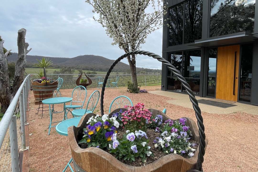 SanguineEstate-Flowerbasket Cappa Stone Wines