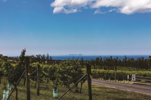 Scotchmans Hill winery and cellar door Drysdale Victoria James Halliday’s top 100 Australian wineries