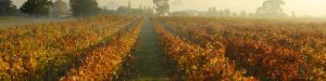 Outer Melbourne Wineries