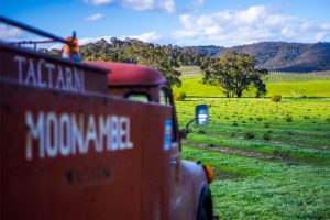 Taltarni Vineyards truck
