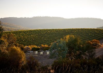 Taltarni Wines