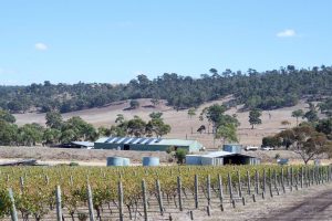 Del Rios of Mt Anakie winery and cellar door spanish wine grower in Victoria