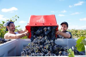 Del Rios of Mt Anakie winery and cellar door spanish wine grower in Victoria