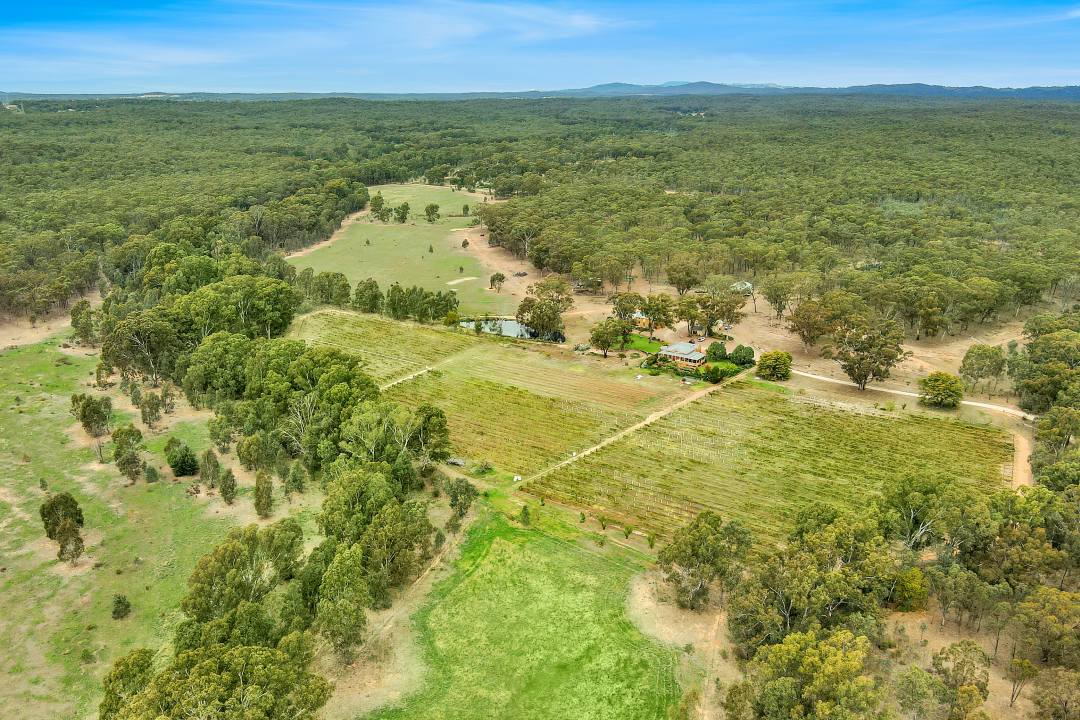 Byronsvale Vineyard & Accommodation-Aerial Byronsvale Vineyard & Accommodation-Aerial