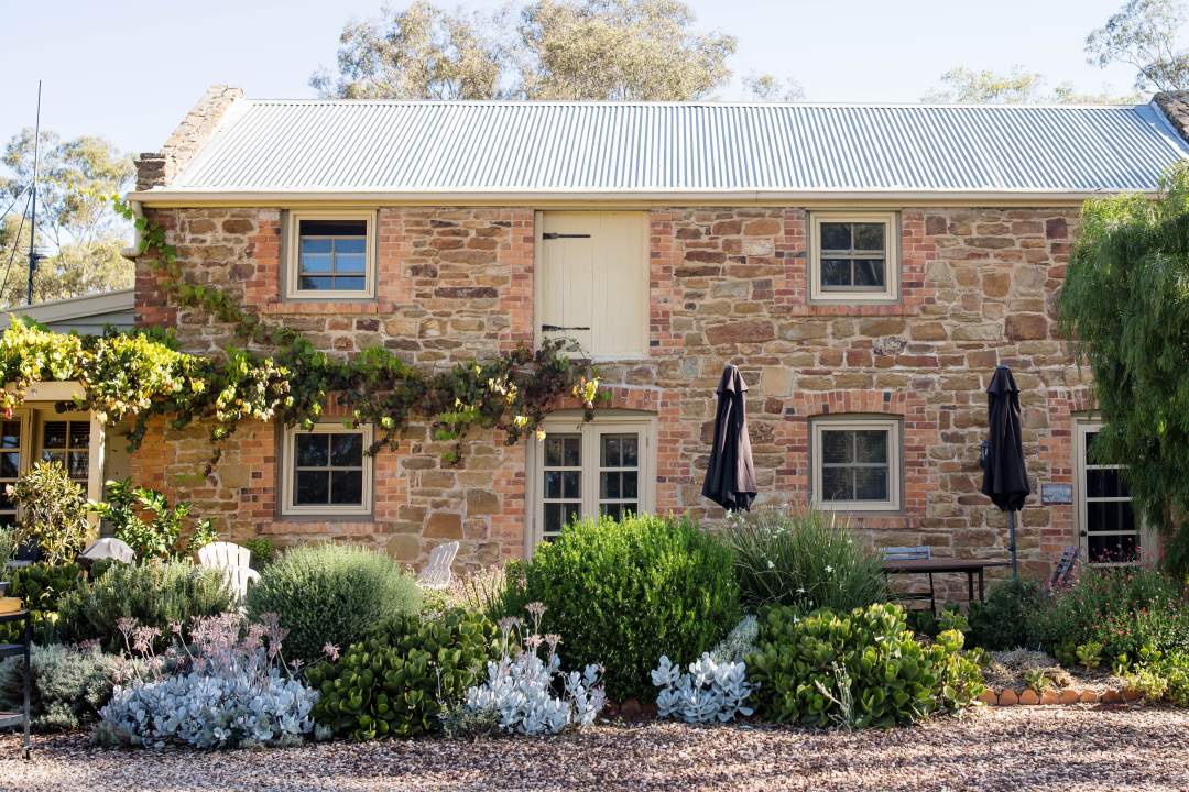 Byronsvale Vineyard & Accommodation-Stables Byronsvale Vineyard & Accommodation-Stables