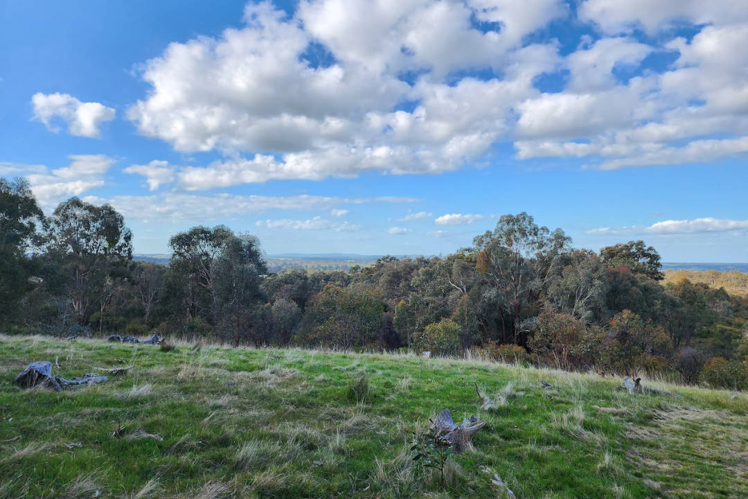 Mt Avoca Conservation Zone Mt Avoca Conservation Zone