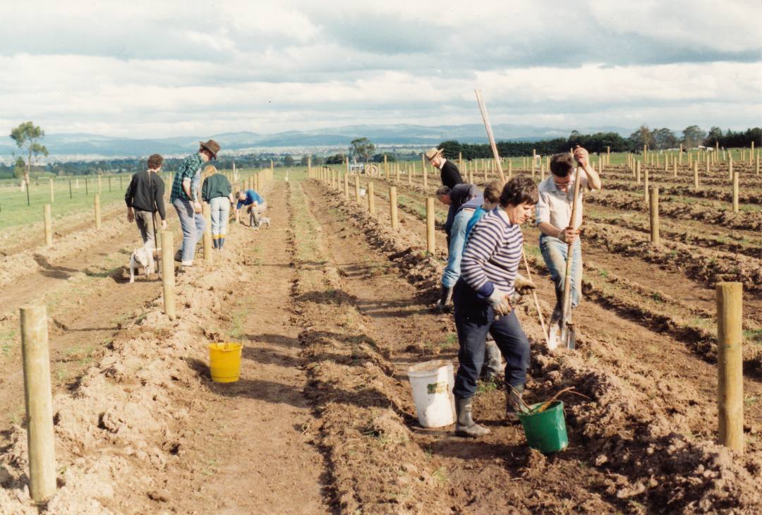 Narkoojee Planting Narkoojee Planting