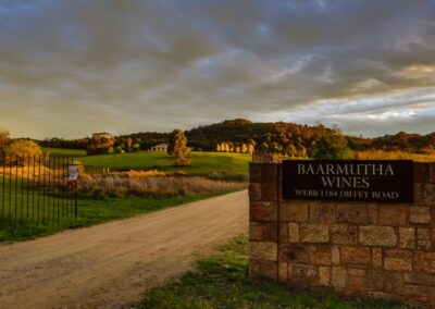 Baarmutha Wines