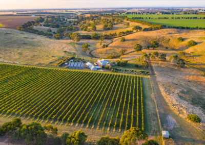 Spence Wines
