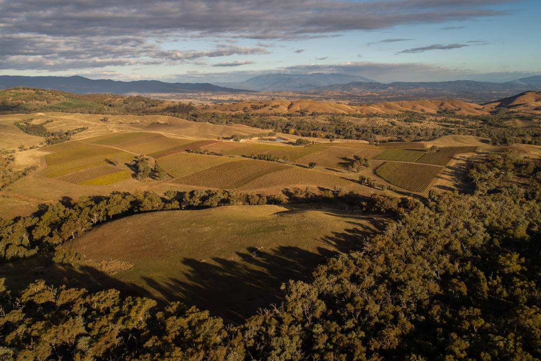 Beechworth FromBeechworth
