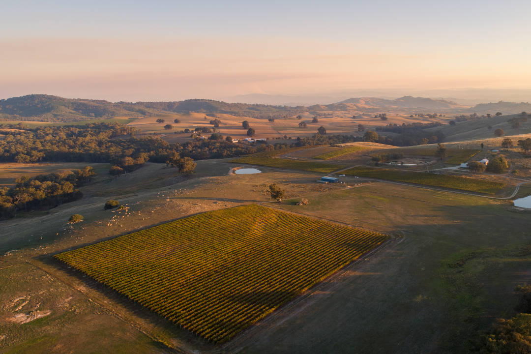 Beechworth Wine Region Beechworth Wine Region