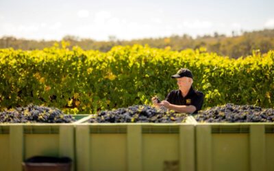 Thirty Years, Thirty Wines!