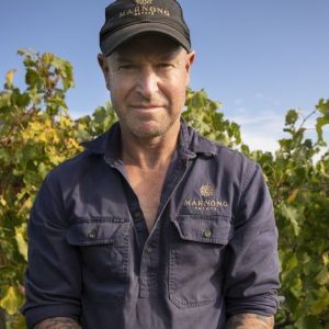 Marc Piano Piano Wines