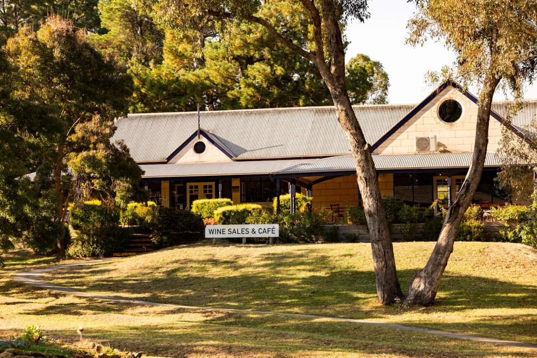 Blue Pyrenees Estate-Cellar Door Piano Piano Wines Vineyard