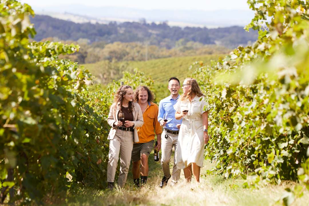 Piano Piano Wines Team
