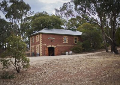 Jasper Hill Vineyard